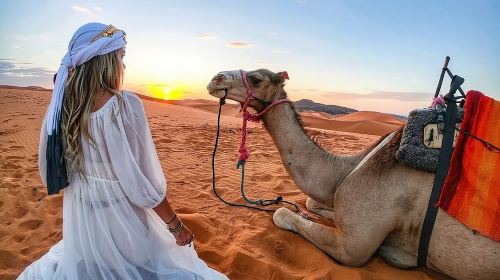 Morning Desert Safari with Quad Bike, Camel Ride & Sandboarding Day Tours