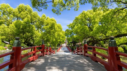 Fukuoka: Kyushu Autumn Yabakei, Kokonoe Yume Brdg. & Dazaifu Day Tours