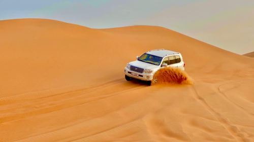 PREMIUM Desert safari with 5star dinner by AL KHAIMA TOURS