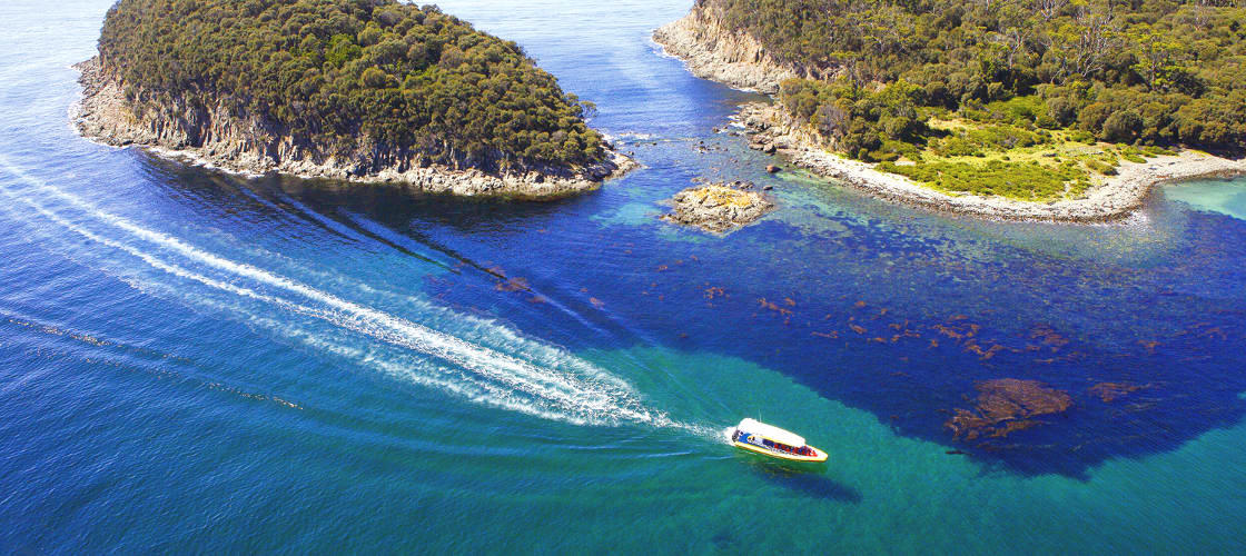 Bruny Island Wilderness Cruise from Adventure Bay