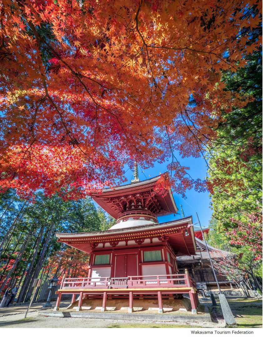 【Private Tour】Mt.Koya 1-day walking tour (Round trip from Osaka)