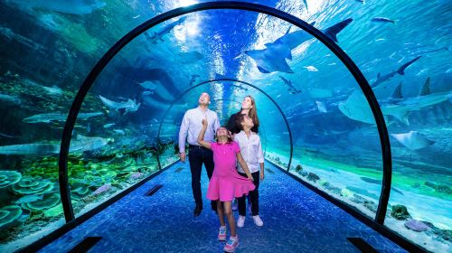 The National Aquarium Abu Dhabi