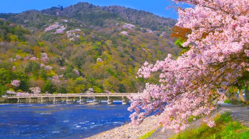 one-day tour of Arashiyama and Katsuo-ji Temple in Kyoto, Japan [Chinese/Mandarin guide]|Internet celebrity beauty check-in] Day Tours
