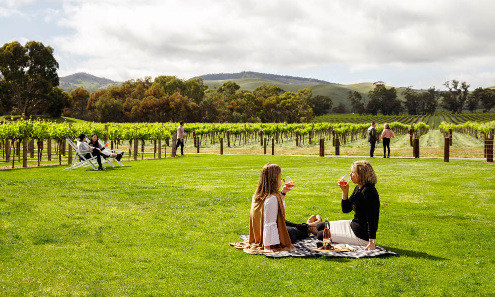 Picnic Perfect