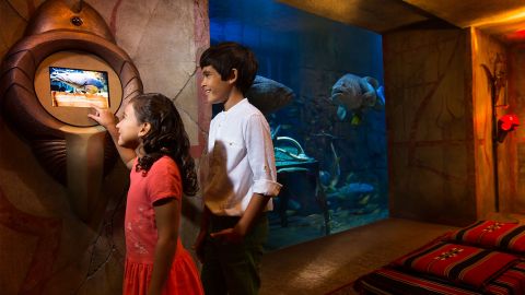 Atlantis Aquaventure - One Day Superpass