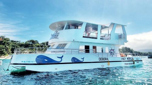 Boracay: Andy's World Yacht Ultimate Party Cruise | Optional morning cruise with foam party/sunset cruise Transport Passes