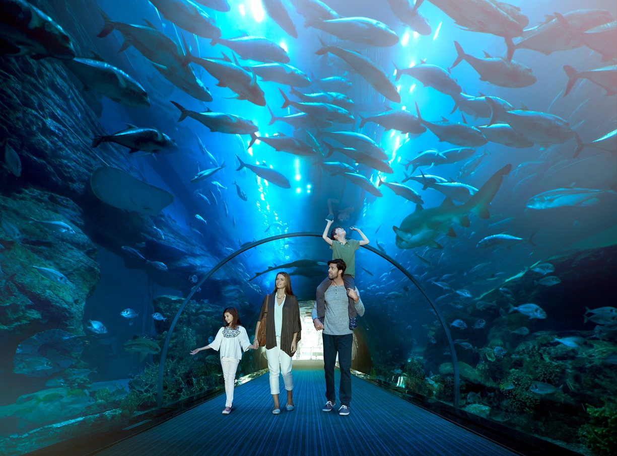 Dubai Aquarium Underwater Zoo