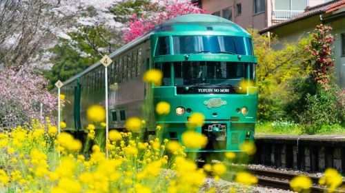 Oita Yufu Forest Sightseeing Train, Beppu cable car, Dazaifu Tenmangu Shrine, and Yufuin 1-day tour Day Tours