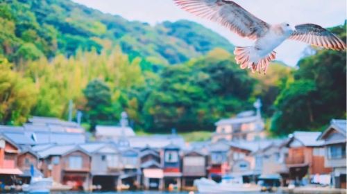 Amanohashidate Viewland + Ine Boat Houses 1-day tour, round-trip from Osaka, extended free time in Ine