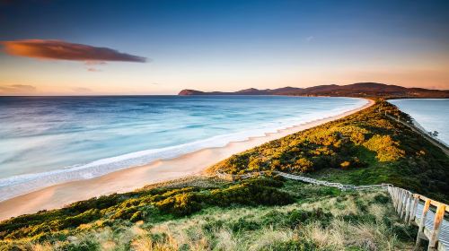 Discover Bruny Island in Tasmania, Australia [Includes city transfers/Tasmania's must-visit spots] Day Tours
