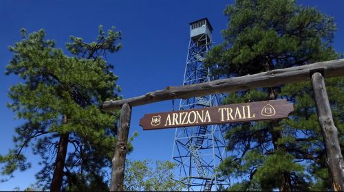 Tusayan: Grand Canyon National Park Off Road Journey Day Tours