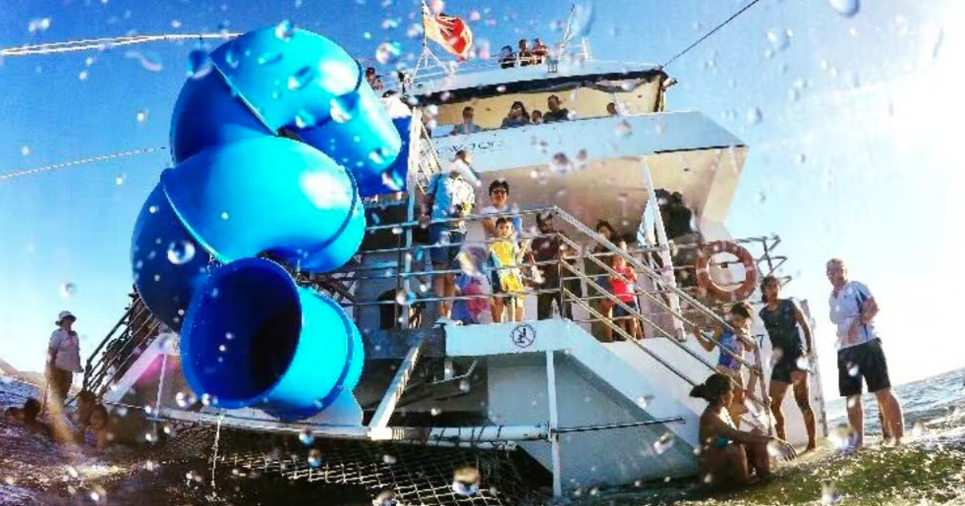 Dolphin Discovery Cruise by Moonshadow Cruises | Port Stephens