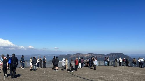 Blue Mountains Tour w/Lunch: Scenic World, Zoo & Koala Photo Day Tours