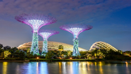 Gardens by the Bay Bundling
