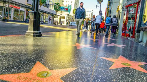 one-day tour in Los Angeles, USA [Hollywood Walk of Fame/Beverly Hills & Rodeo Drive] Day Tours