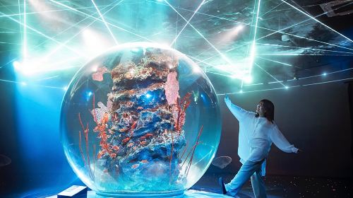 AQUARIUM×ART átoa