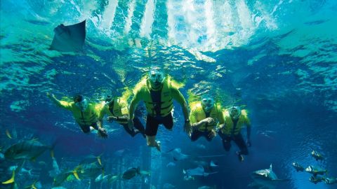 Atlantis Ultimate Snorkel Experience