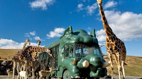 Fukuoka 1-day tour to Kyushu Wildlife Park African Safari, Mount Yufu, Yufuin & Umi Jigoku Day Tours